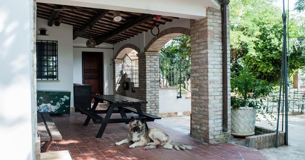 Villa Anna Savini Casa Vacanze أدري المظهر الخارجي الصورة